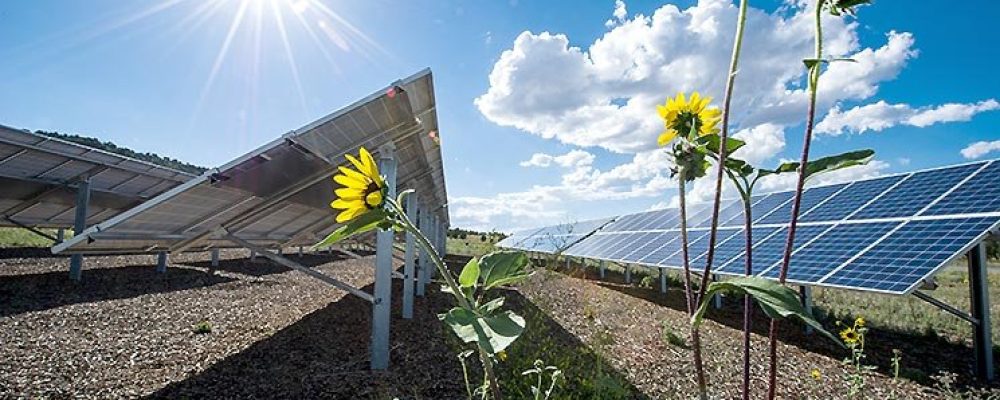 Yenilenebilir enerji kaynakları