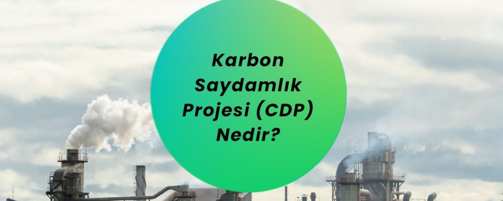 Karbon Saydamlık Projesi CDP Nedir?